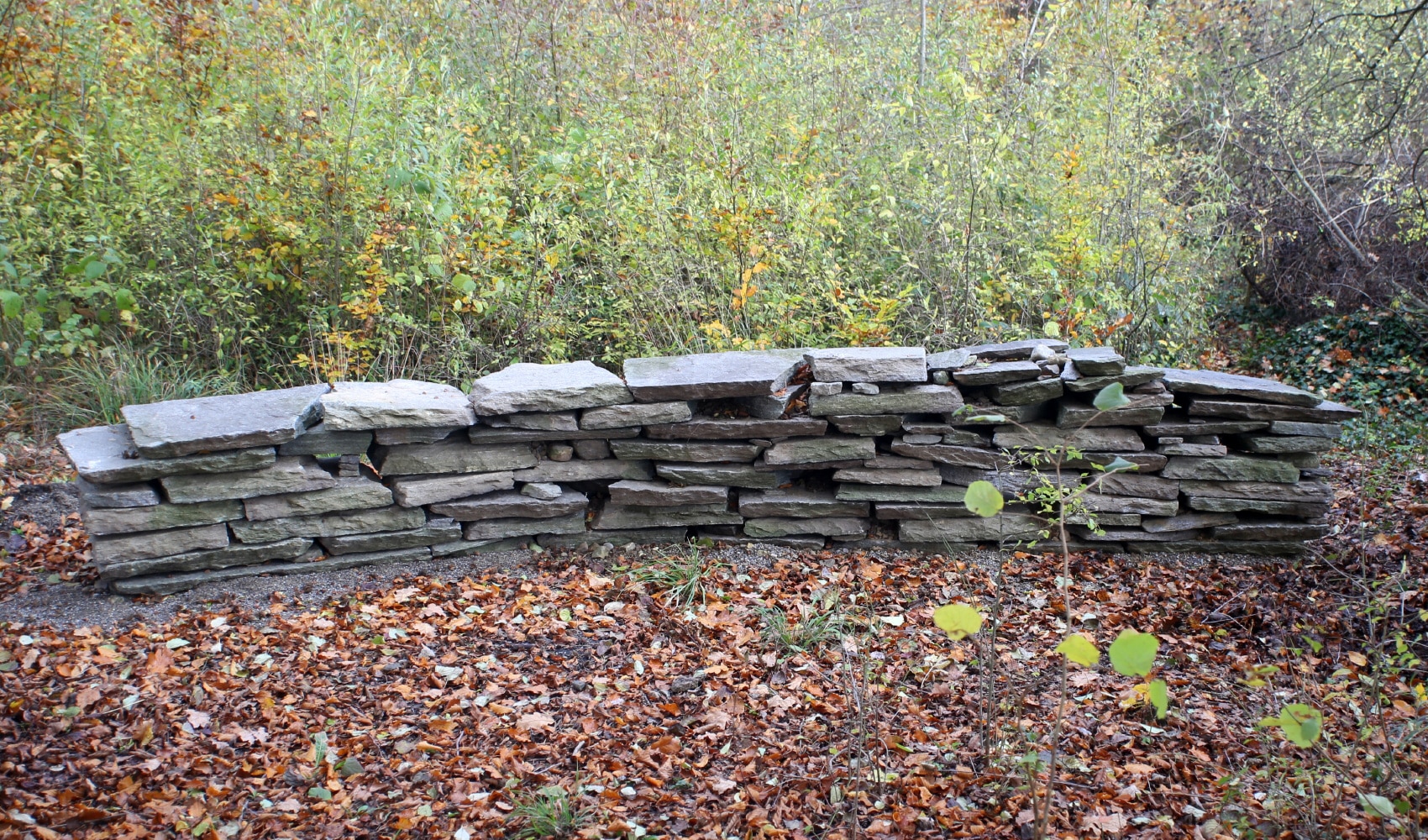 Headerbild zum Projekt "AUWALD" – Es zeigt eine geschichtete Mauer im Wald